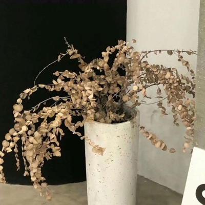 洮南福瑞交流群